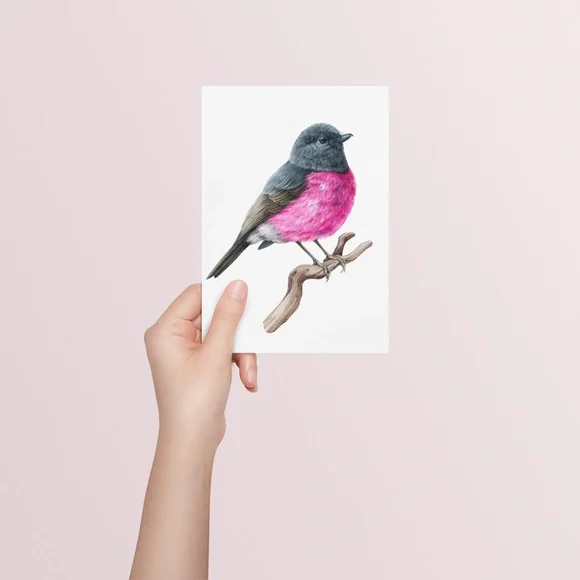 Pink Robin Bird Wall Art Watercolor Illustration Print Poster Card Unframed - Picture 6 of 7